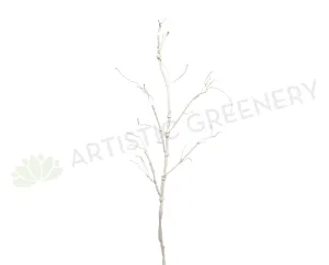 DS0033 Tree Branch 110cm (Fully Twistable) White / Green dried green plant  