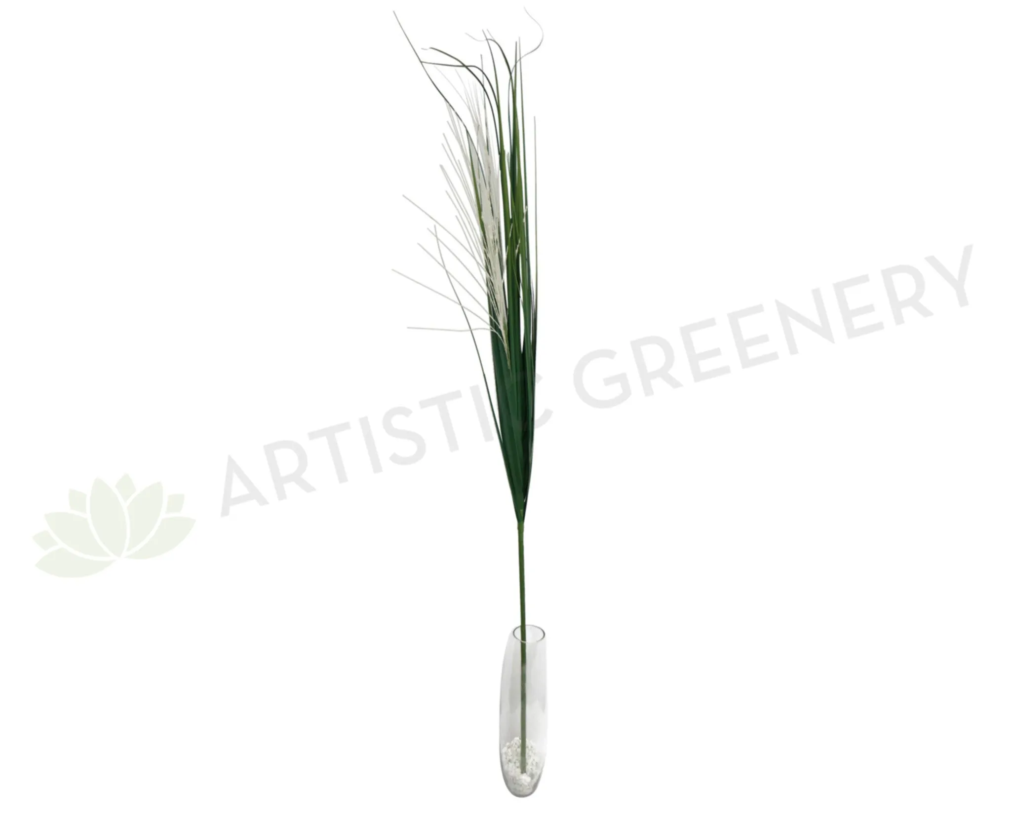DS0035 Green Decor Stick with White Tips 160cm dried green plant  
