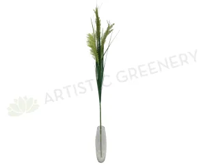 DS0037 Toetoe Grass Bunch 140cm dried green plant  