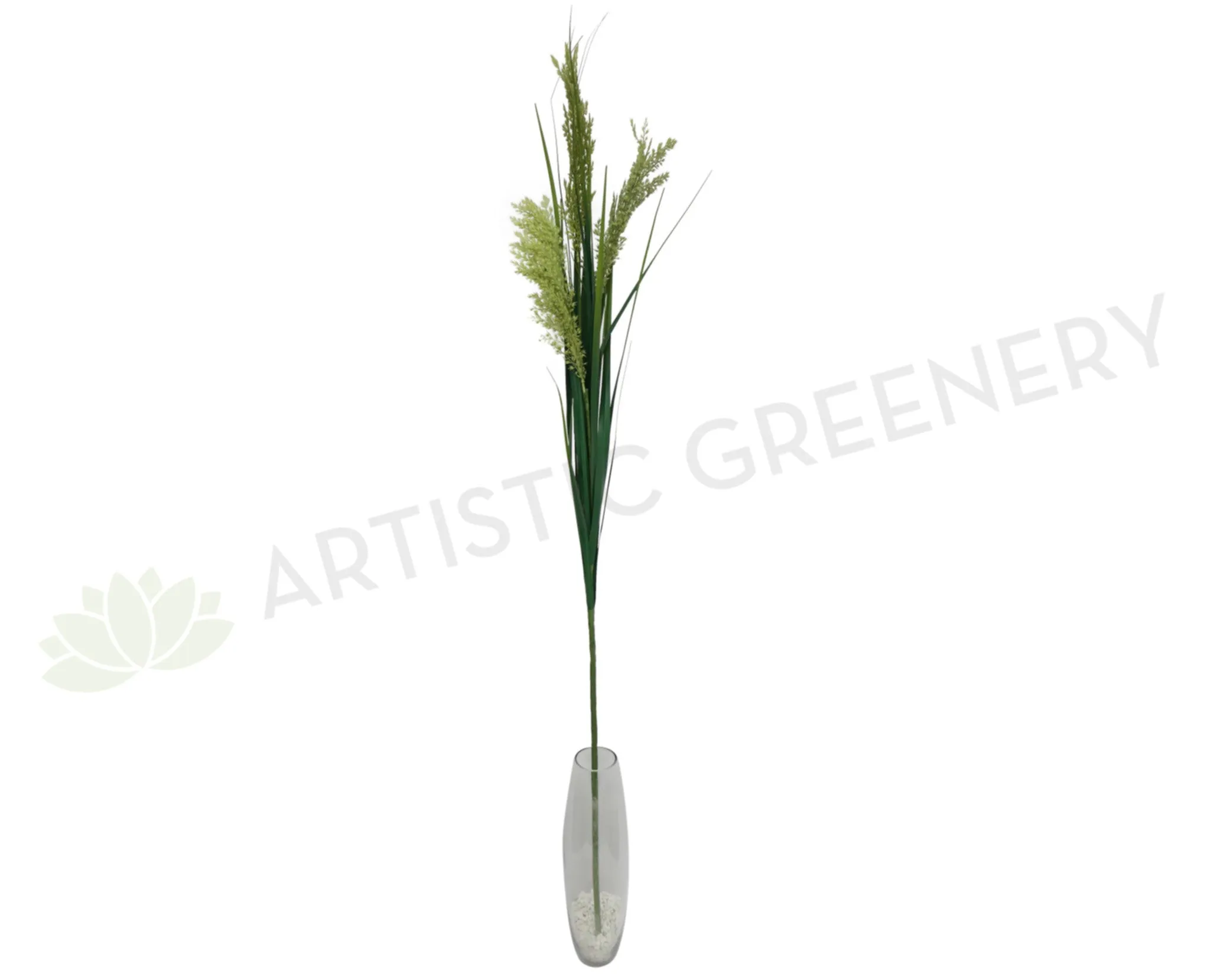 DS0037 Toetoe Grass Bunch 140cm dried green plant  