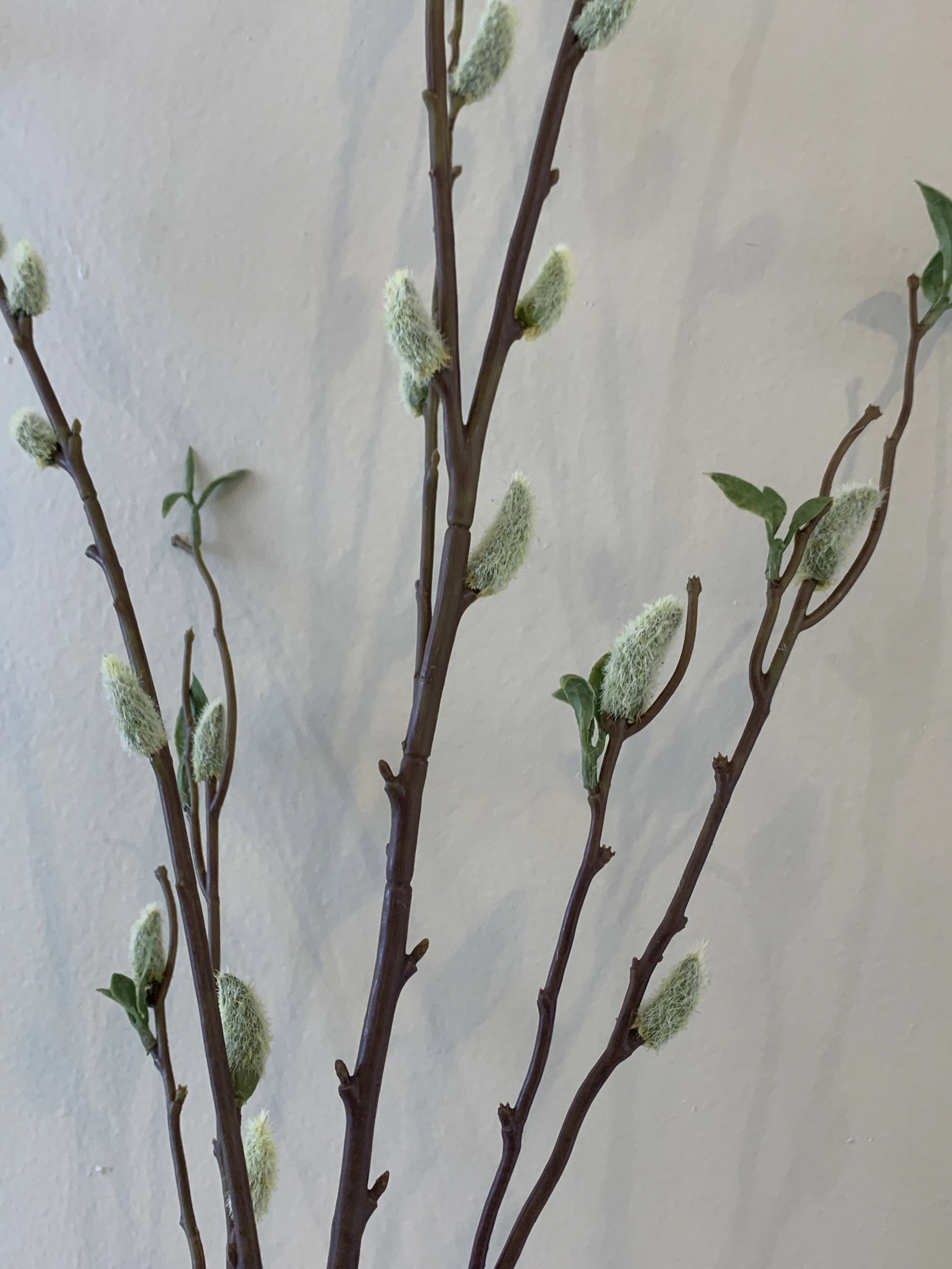 DS0044-130 Pussy Willow Spray 130cm