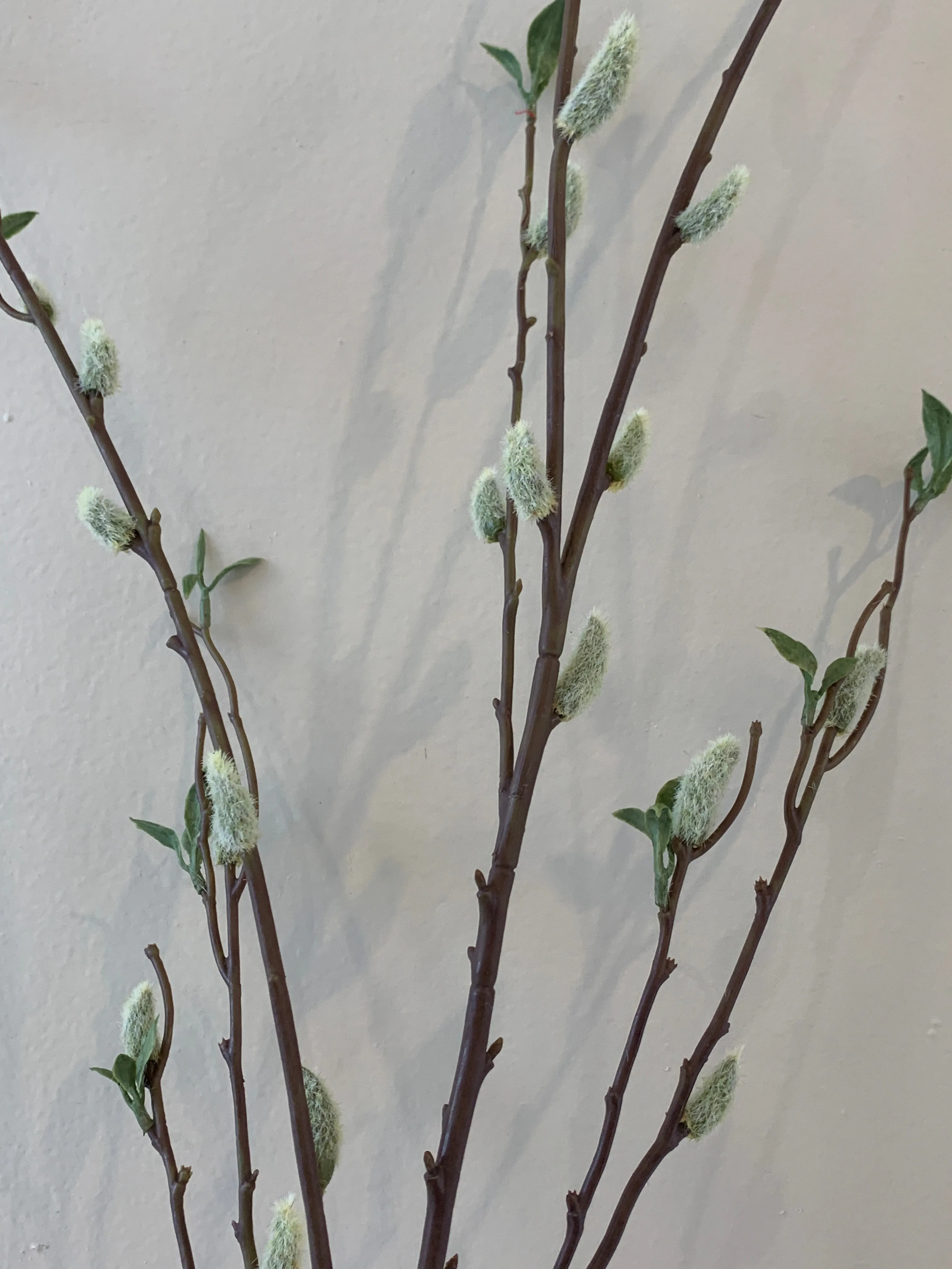 DS0044-130 Pussy Willow Spray 130cm