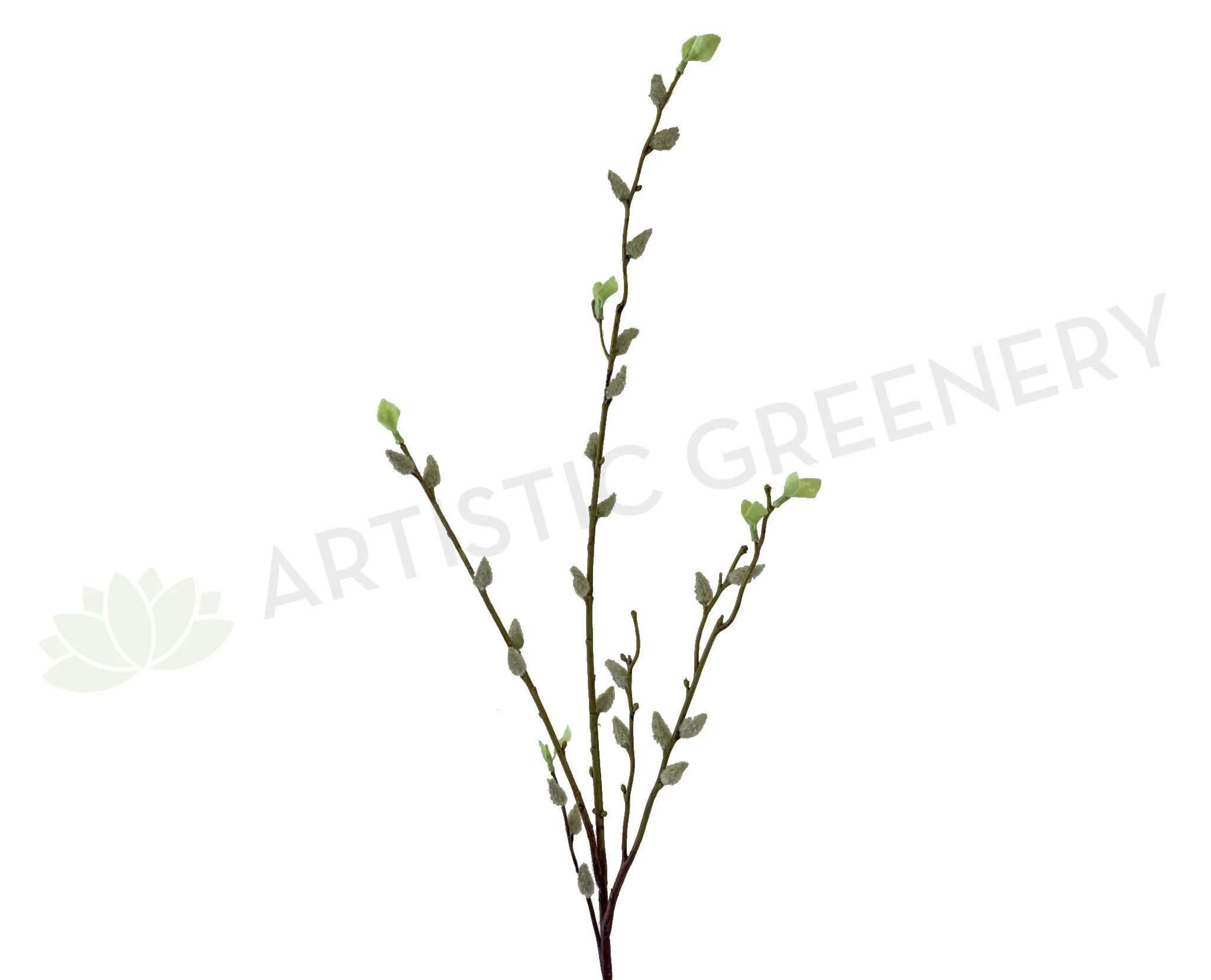 DS0044-130 Pussy Willow Spray 130cm dried green plant  