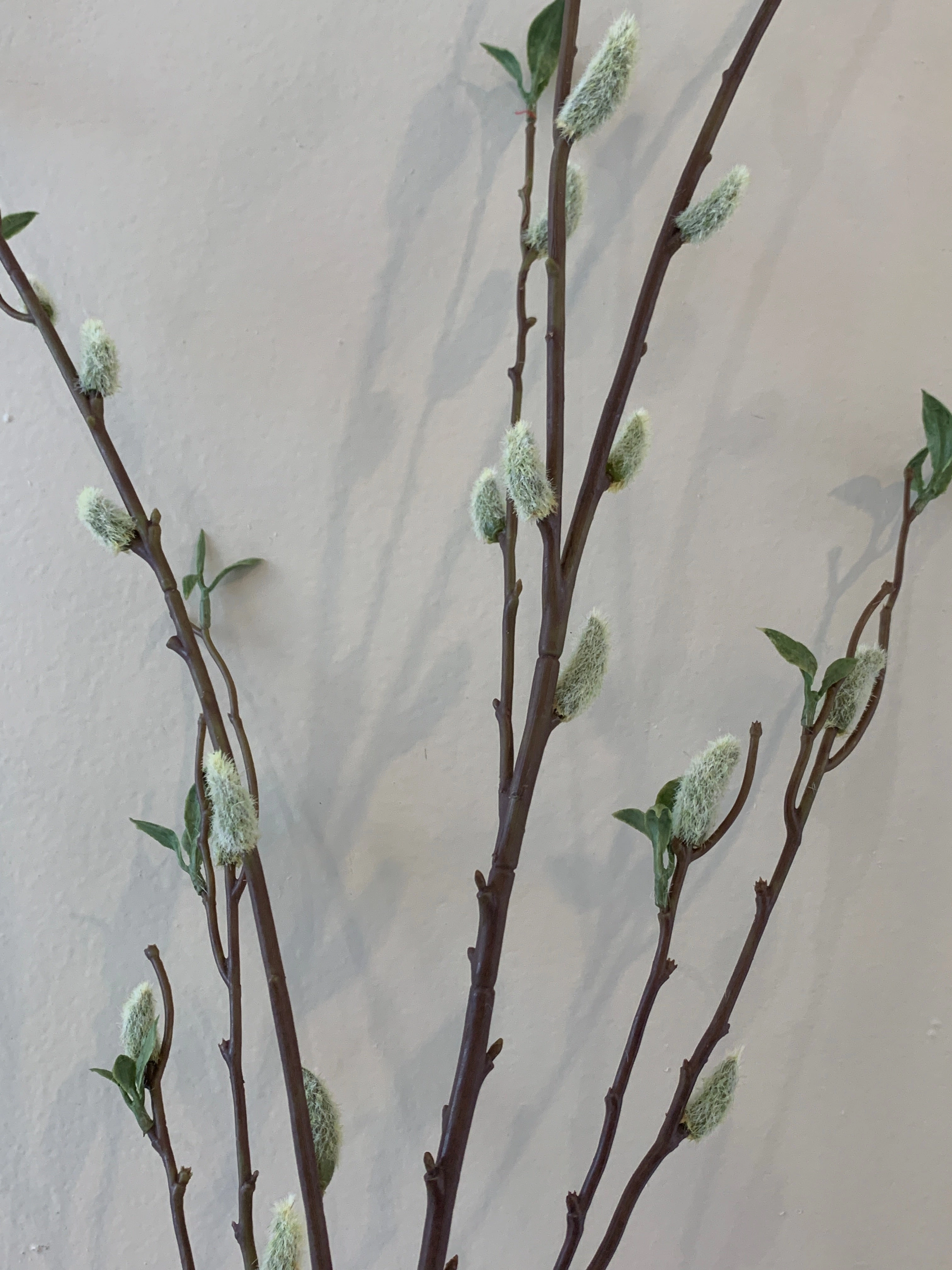 DS0044-130 Pussy Willow Spray 130cm