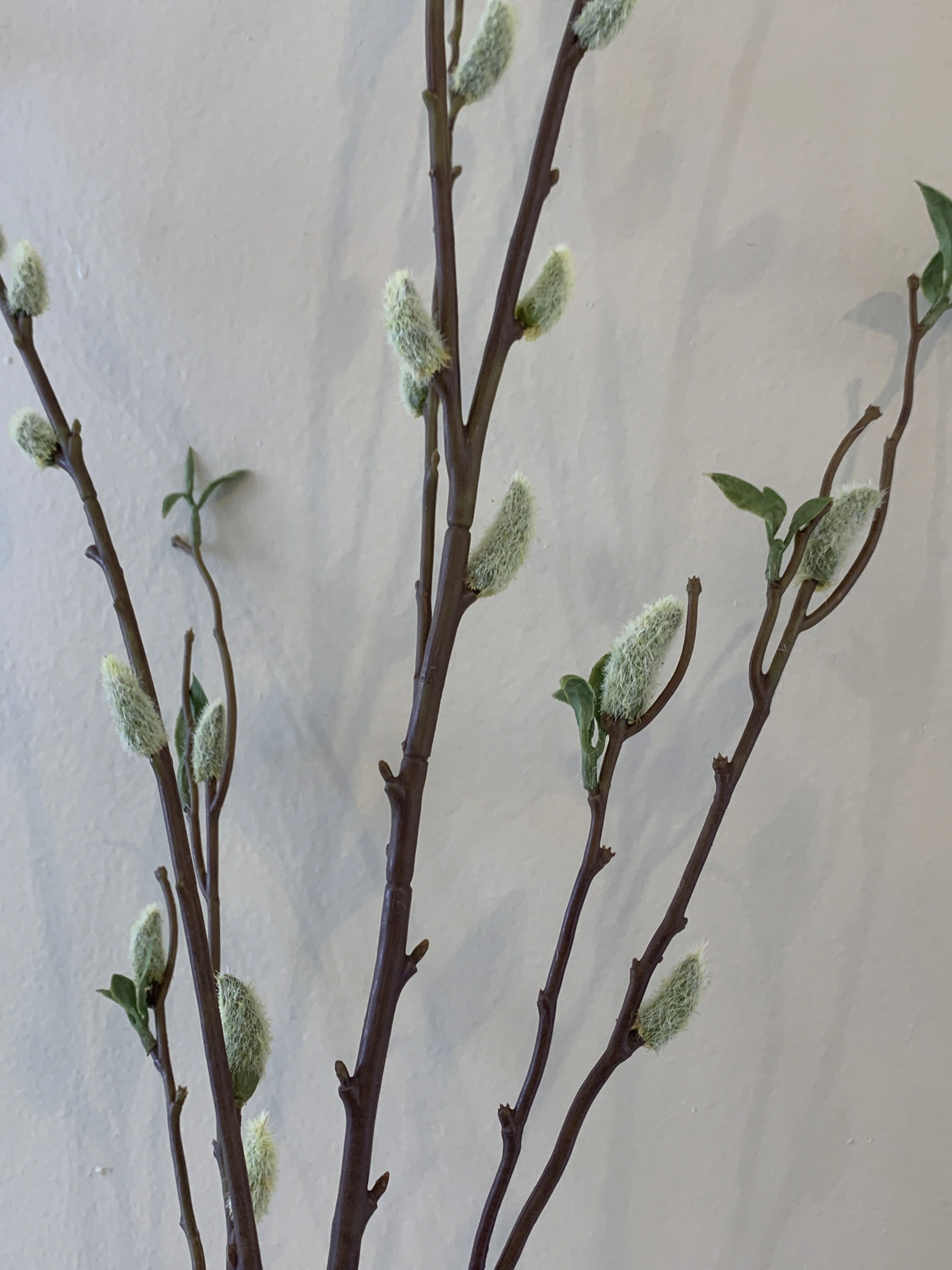 DS0044-130 Pussy Willow Spray 130cm