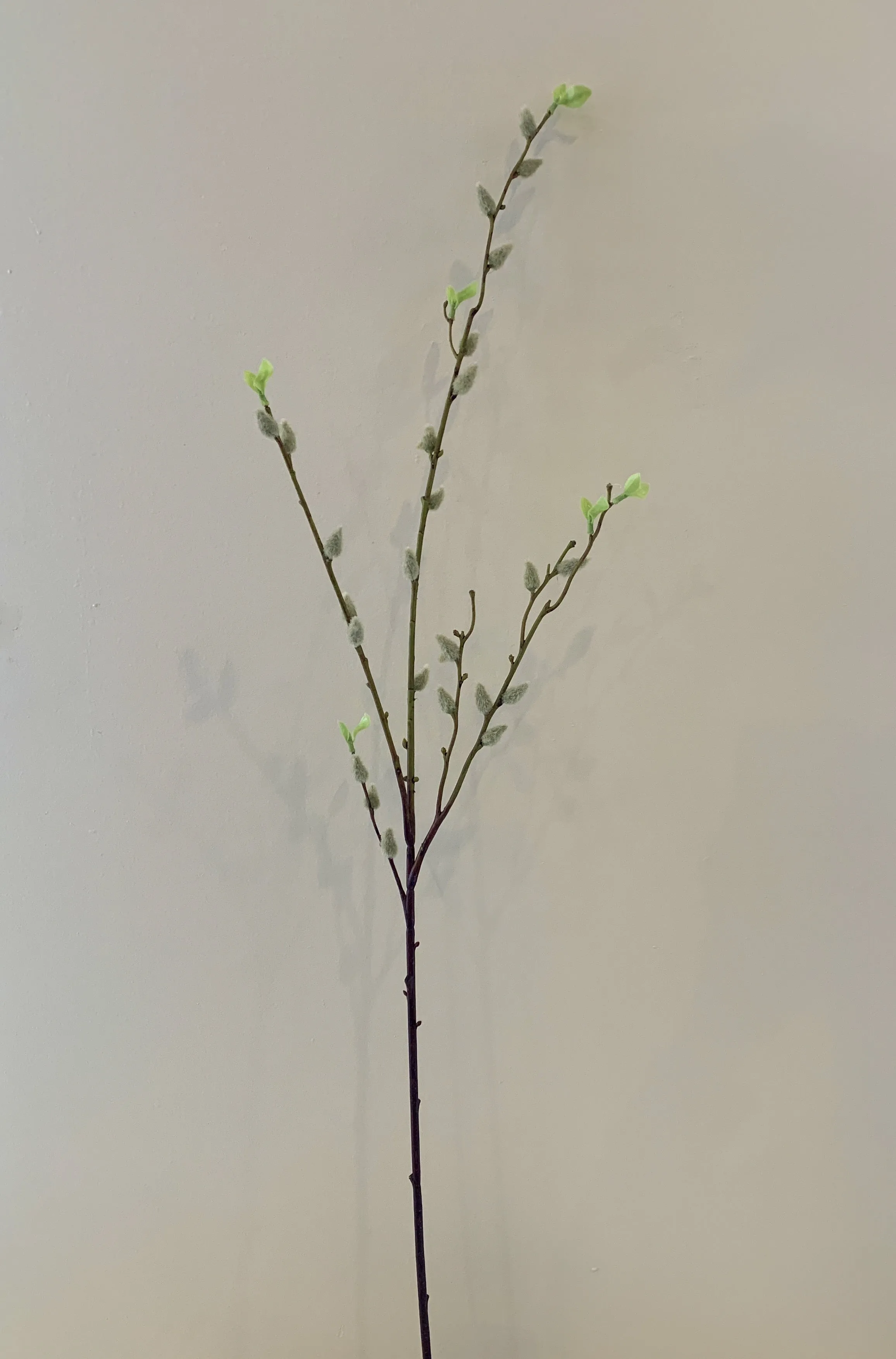 DS0044N Pussy Willow 96cm