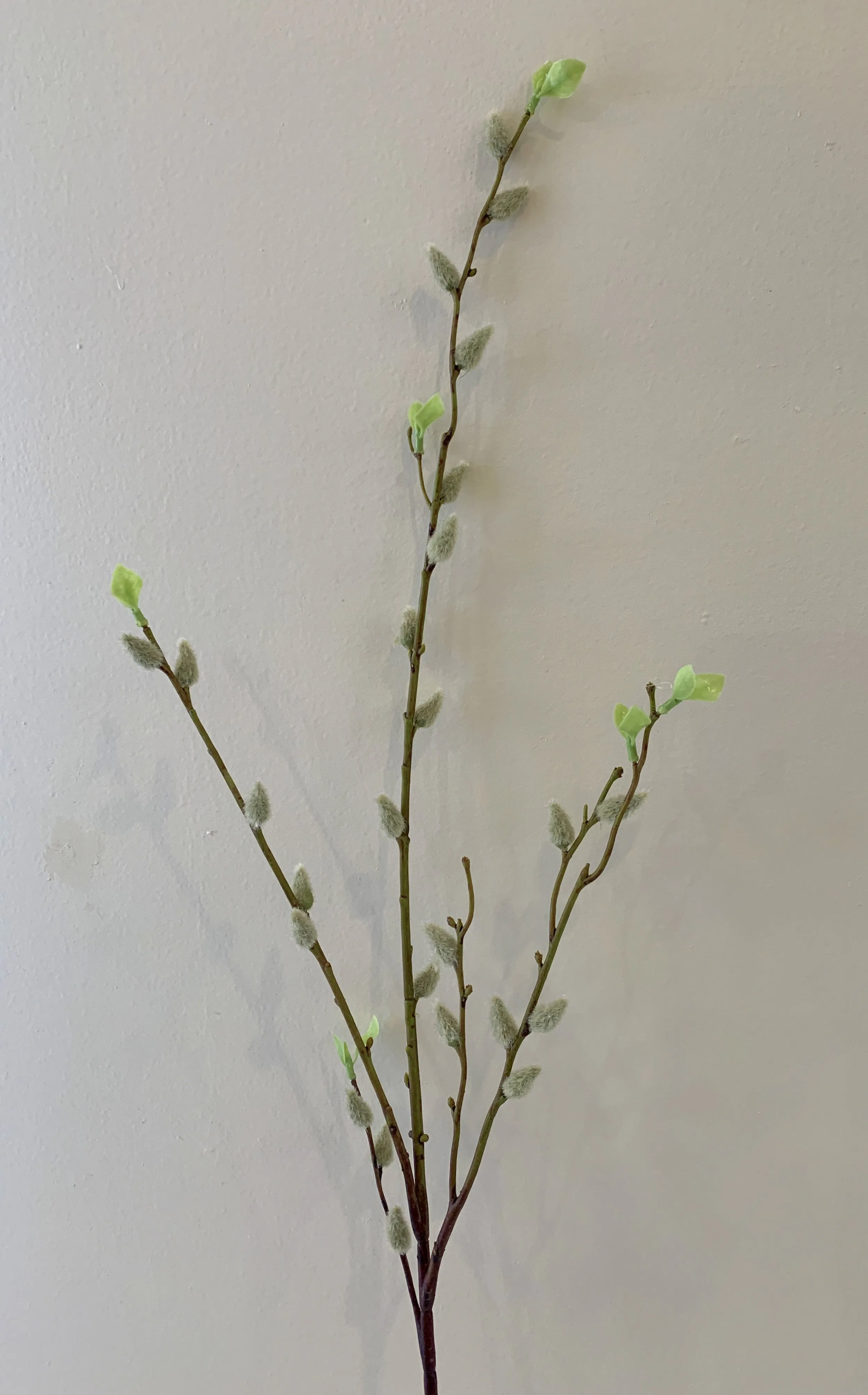 DS0044N Pussy Willow 96cm