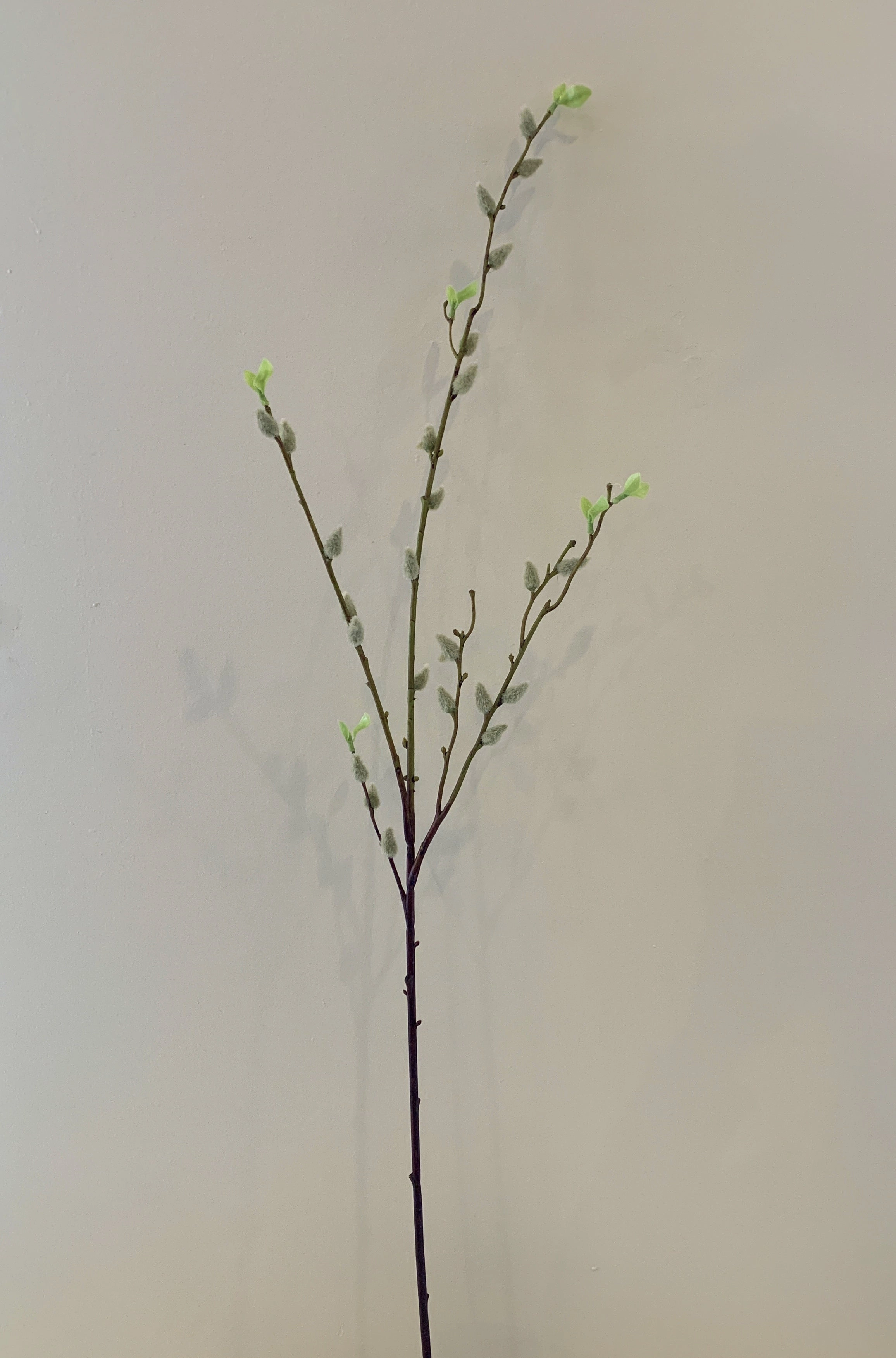 DS0044N Pussy Willow 96cm