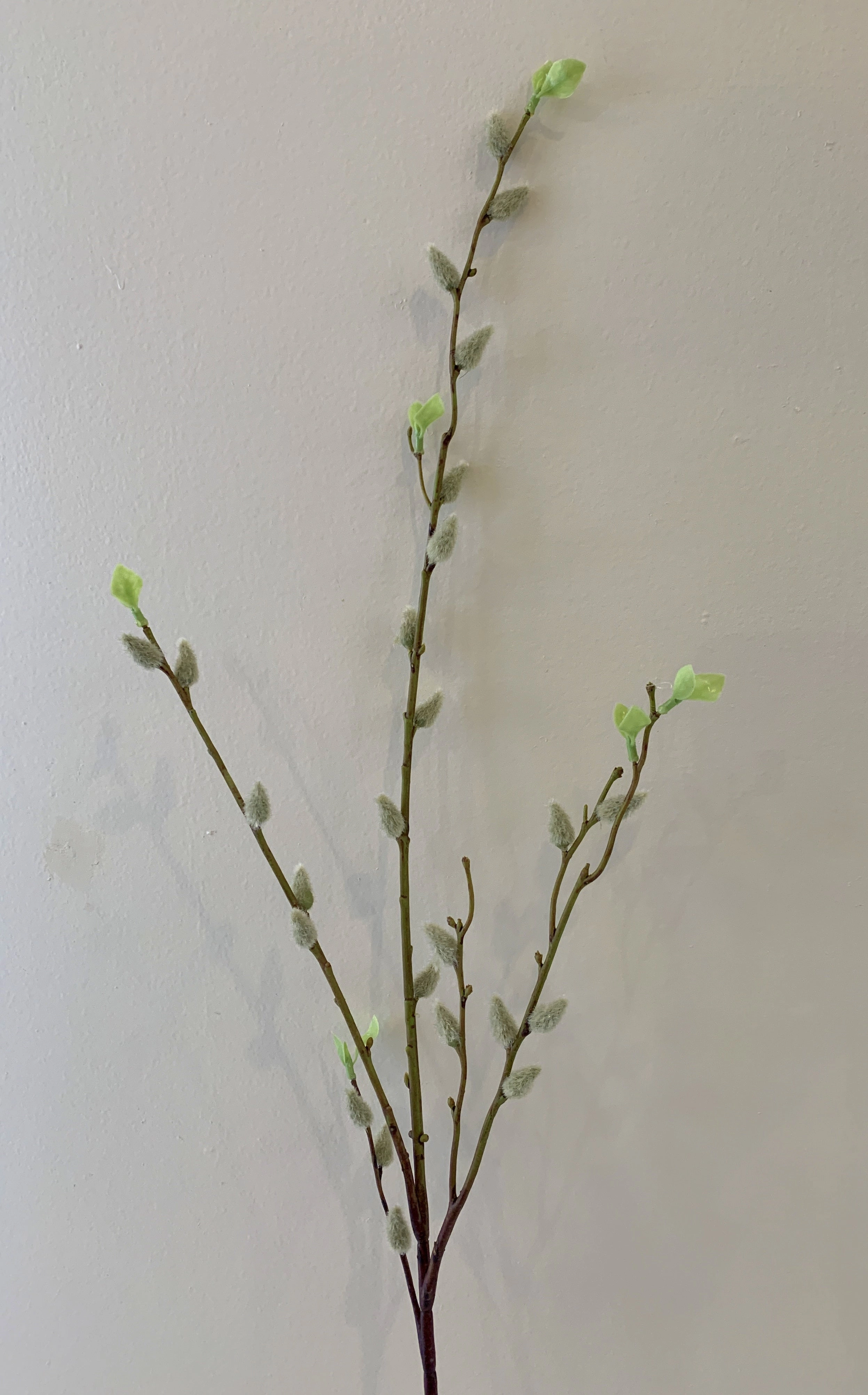 DS0044N Pussy Willow 96cm