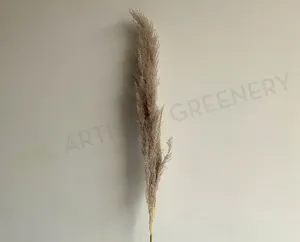 DS0054 Natural Dried Pampas Grass 160cm dried green plant  