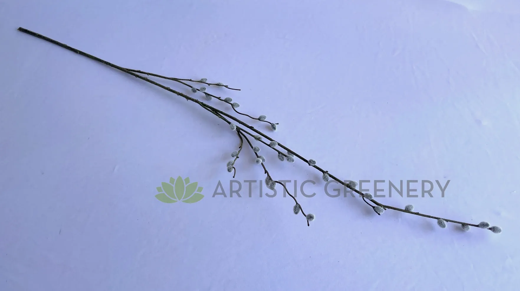 DS0057 Pussy Willow Stem 102cm