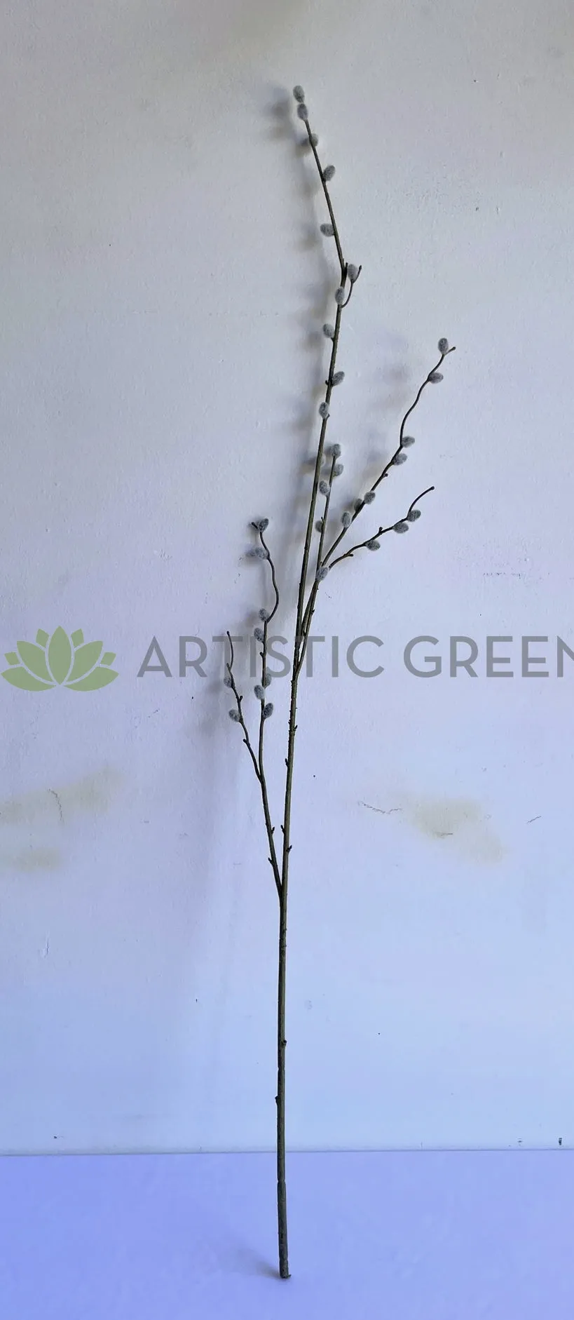 DS0057 Pussy Willow Stem 102cm