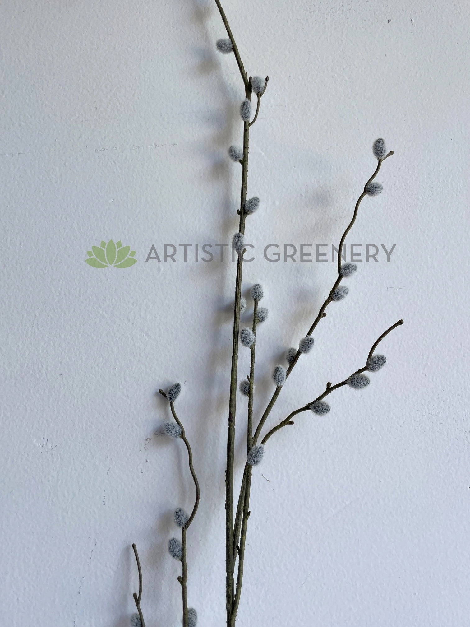 DS0057 Pussy Willow Stem 102cm