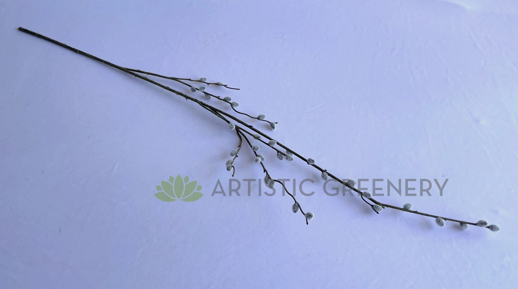 DS0057 Pussy Willow Stem 102cm