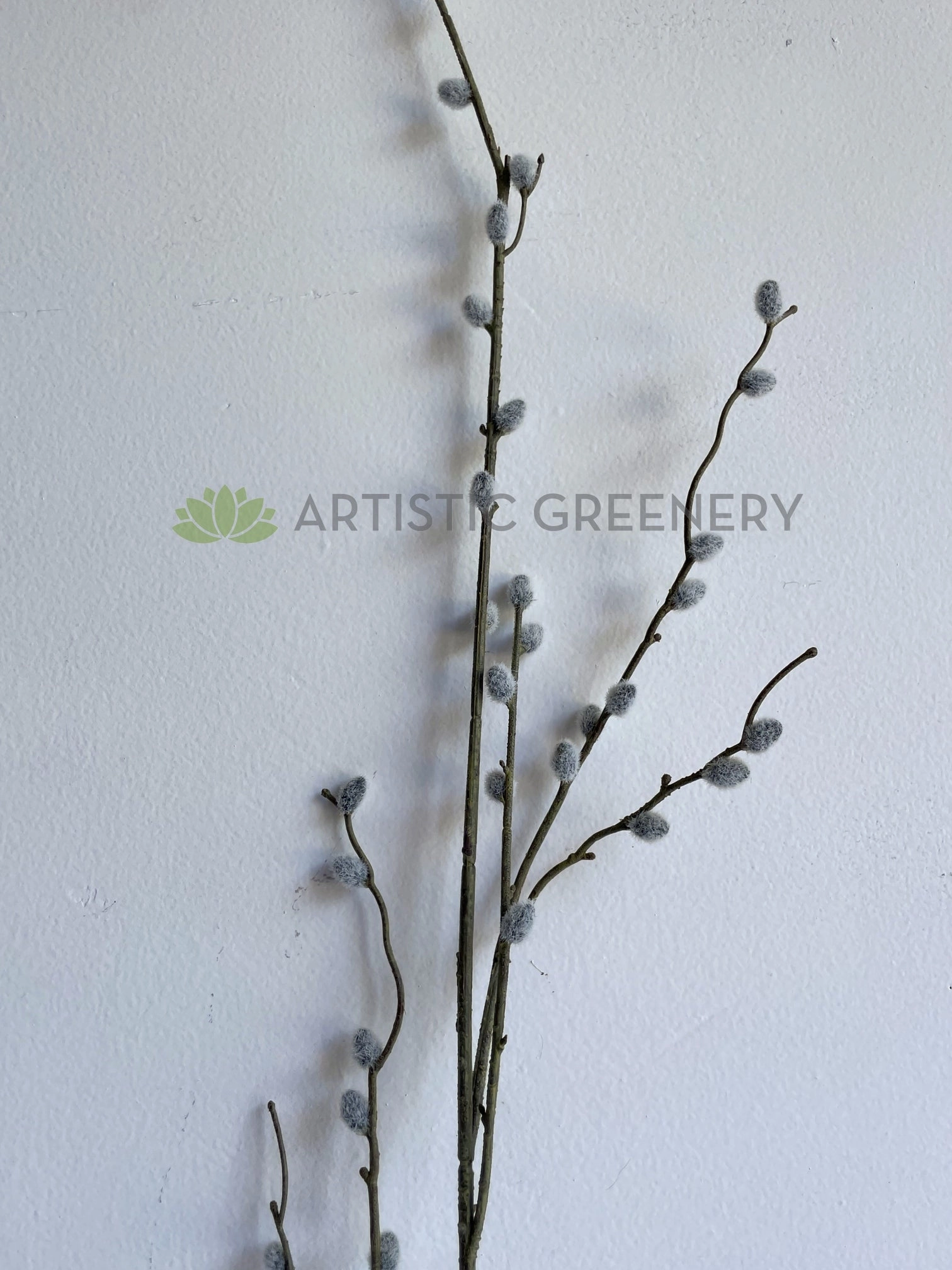 DS0057 Pussy Willow Stem 102cm