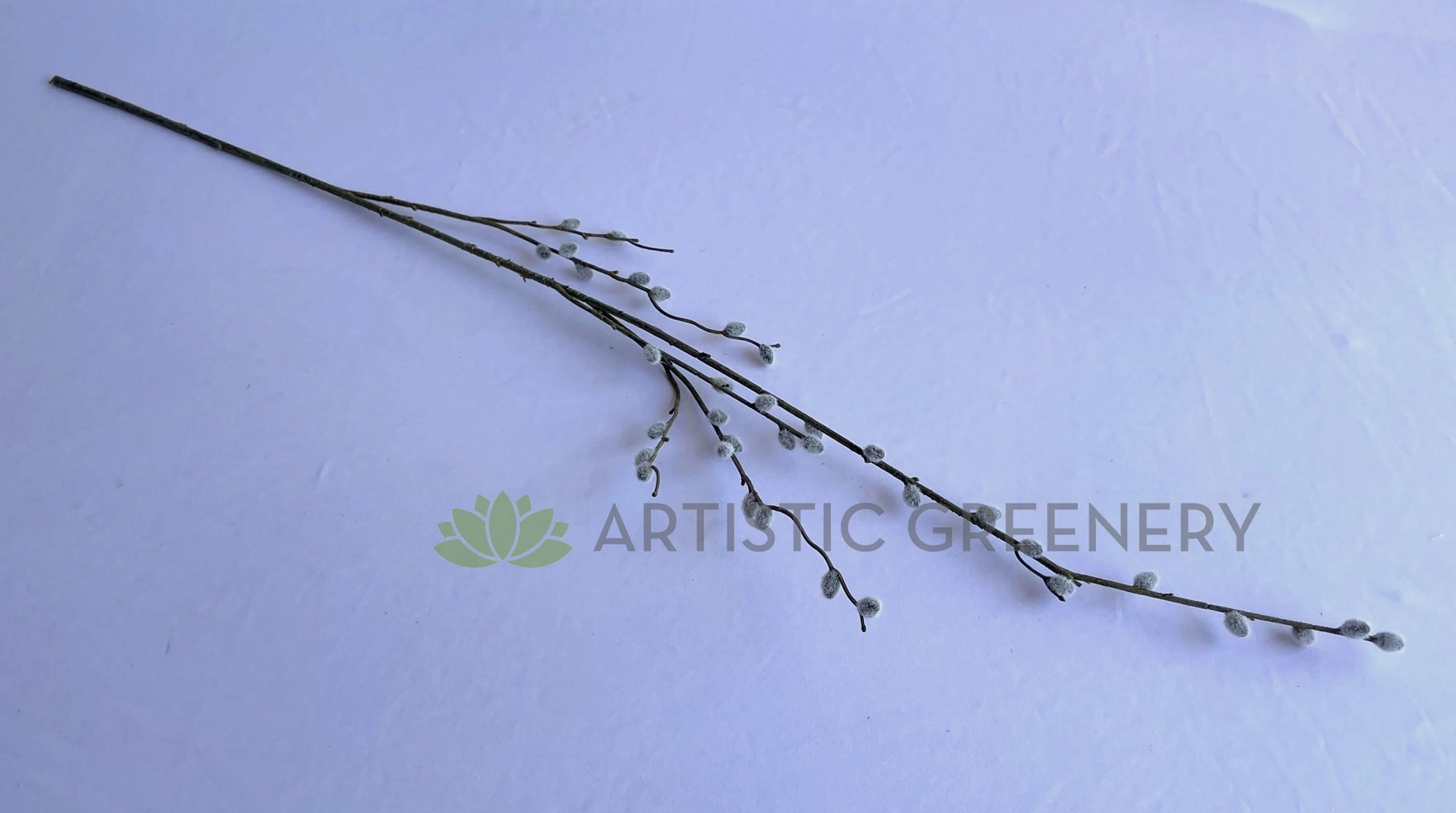 DS0057 Pussy Willow Stem 102cm