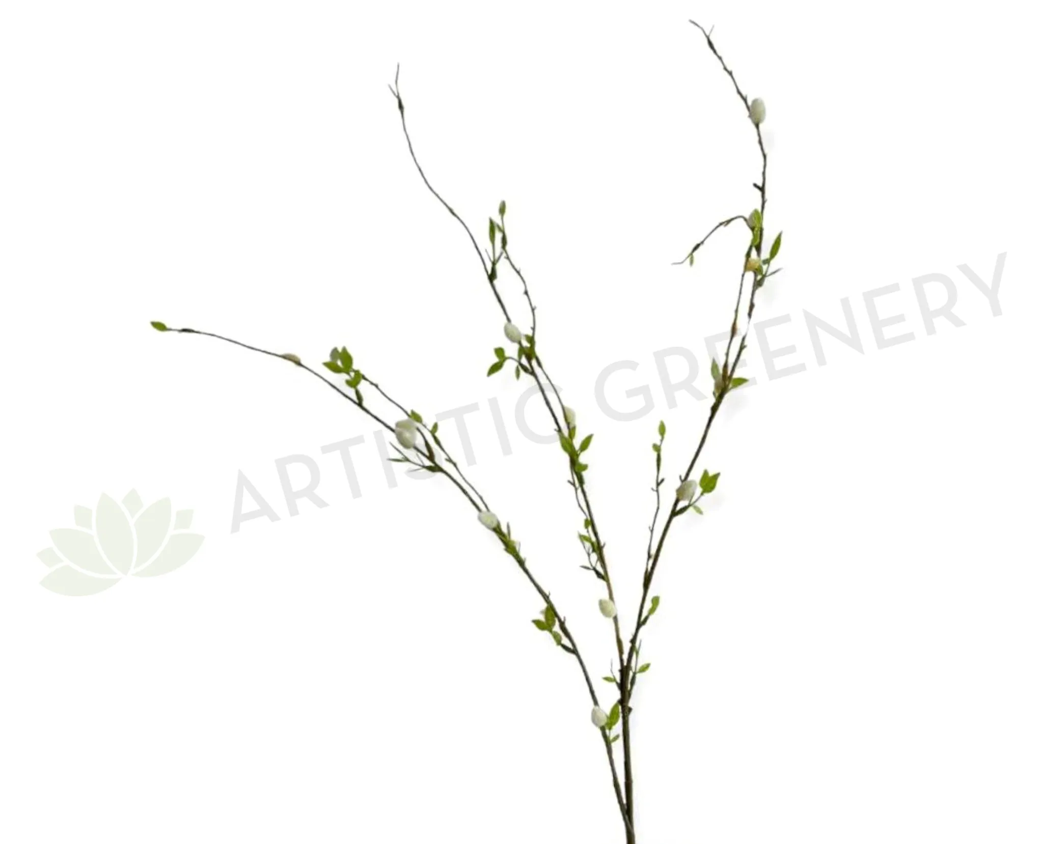 DS0058 Pussy Willow 83cm dried green plant  
