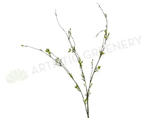 DS0058 Pussy Willow 83cm dried green plant  