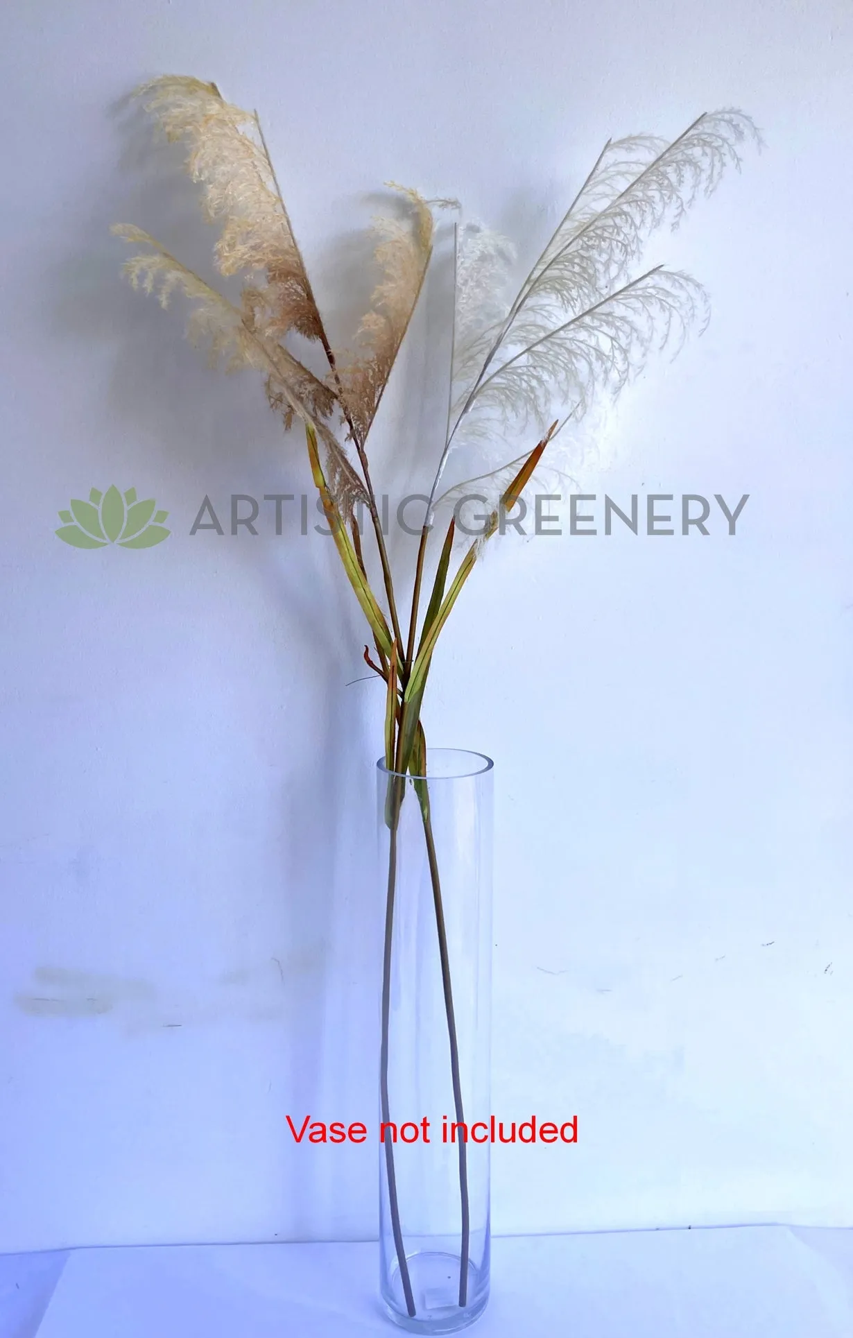 DS0059 Common Reed 132cm Brown / White