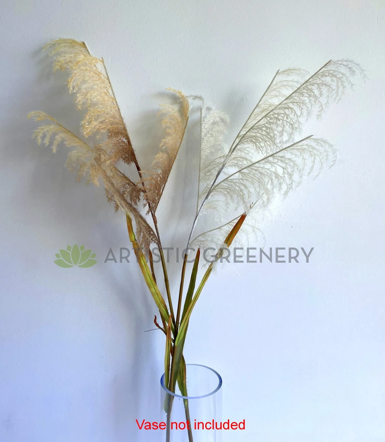 DS0059 Common Reed 132cm Brown / White