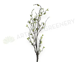 DS0060 Pussy Willow 110cm dried green plant  