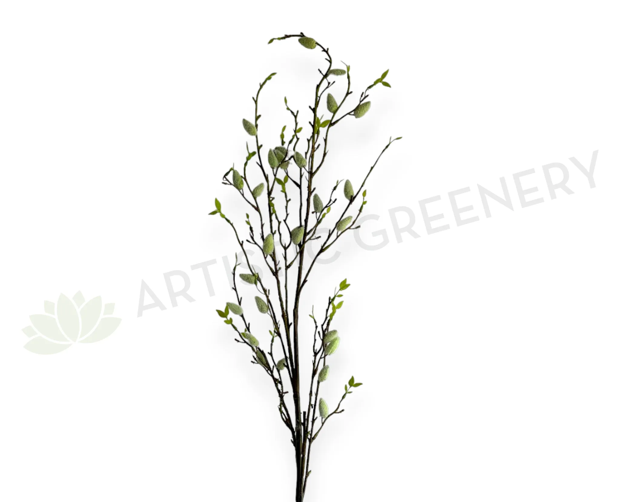 DS0060 Pussy Willow 110cm dried green plant  