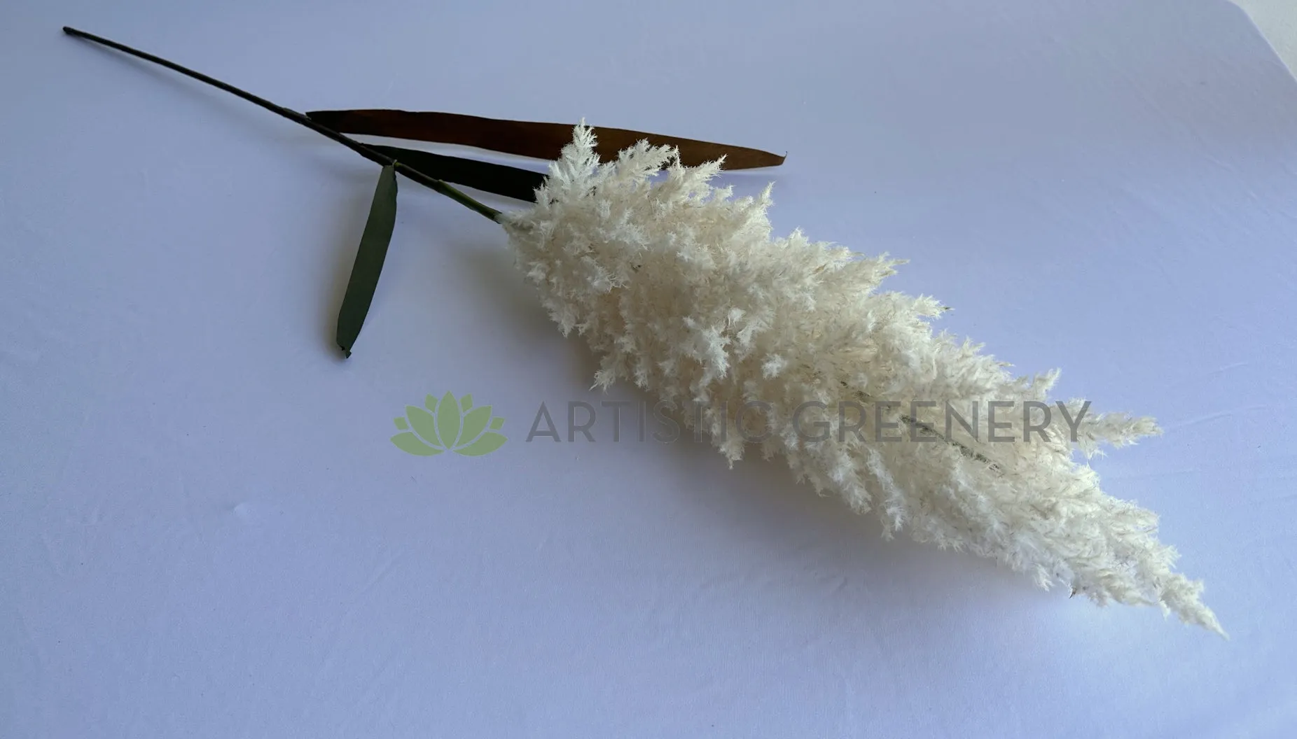 DS0061 White Pampas Grass Stem 110cm
