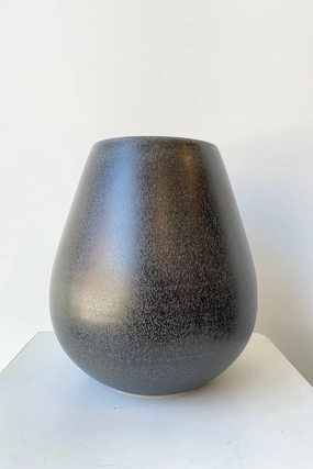 Ease Black Iron Round Vase dried green plant  