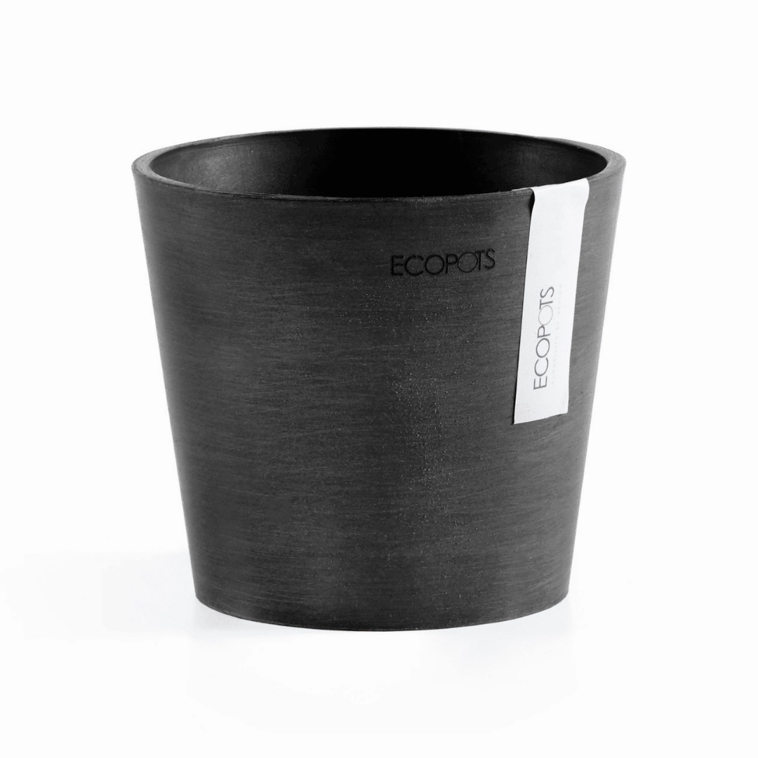 Ecopots Amsterdam Mini Pot Dark Grey plant seeds  