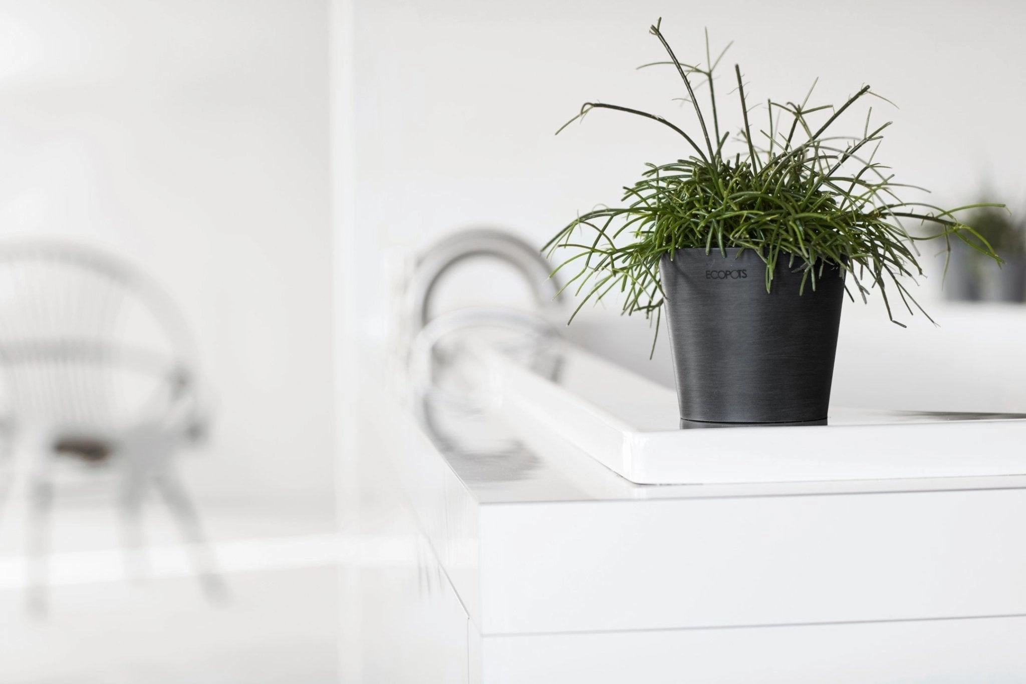 Ecopots Amsterdam Mini Pot Dark Grey