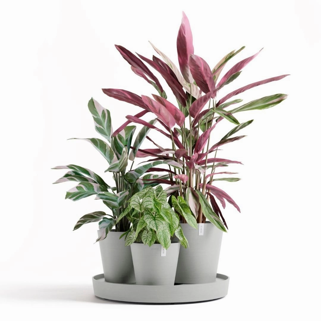 Ecopots Dubai White Grey