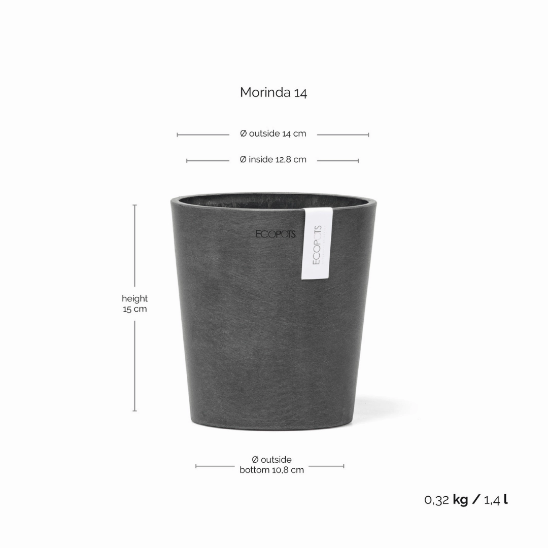 Ecopots Morinda Orchid Pot