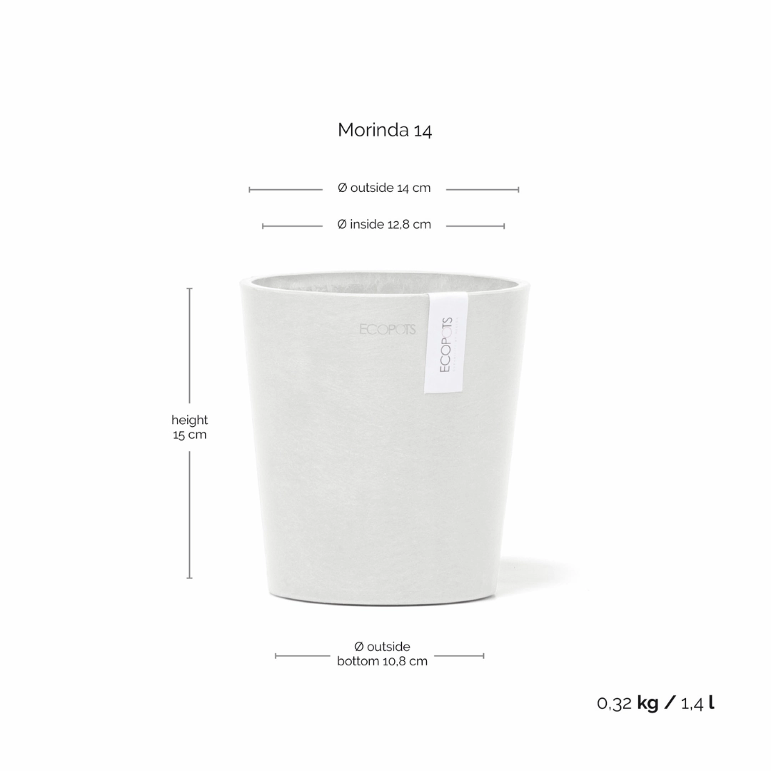 Ecopots Morinda Orchid Pot