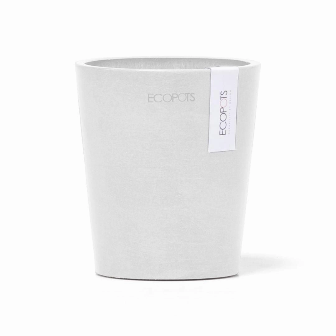 Ecopots Morinda Orchid Pot