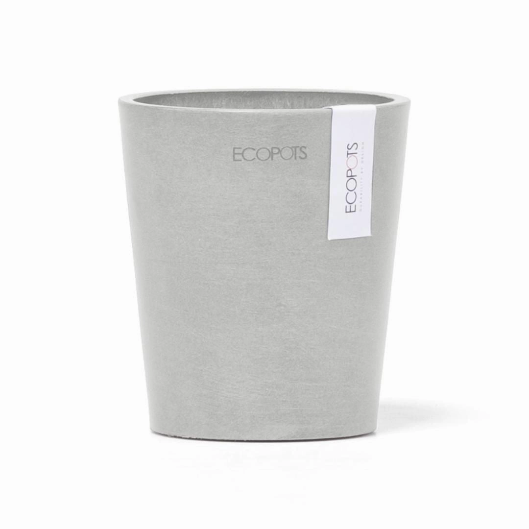 Ecopots Morinda Orchid Pot