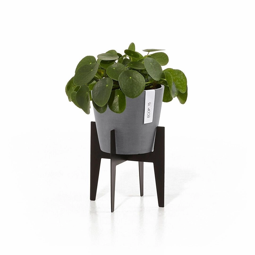 Ecopots on Stilts 30
