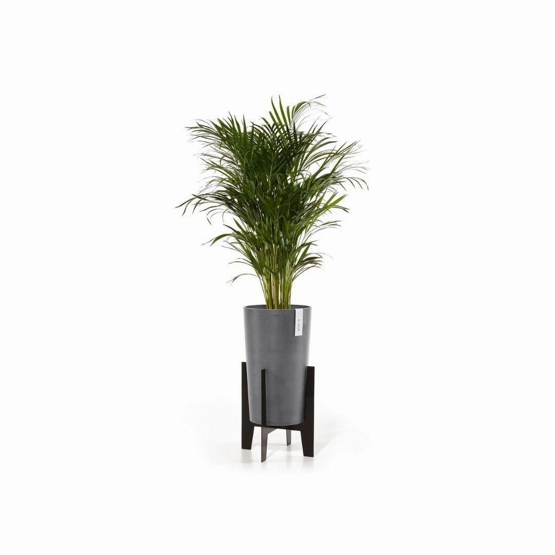 Ecopots on Stilts 40