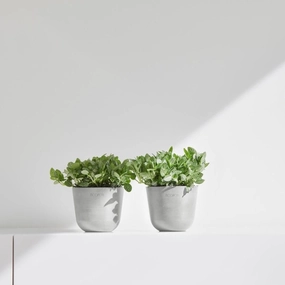 Ecopots Oslo Mini Pot White Grey plant seeds  