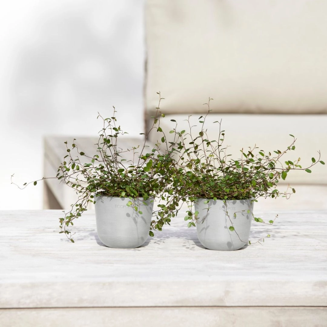 Ecopots Oslo Mini Pot White Grey