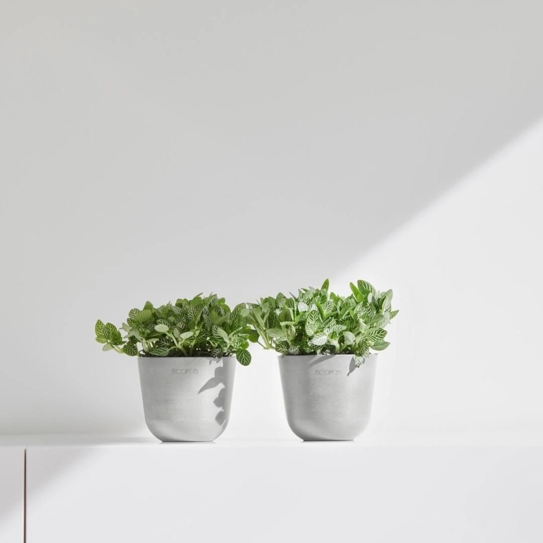 Ecopots Oslo Mini Pot White Grey plant seeds  
