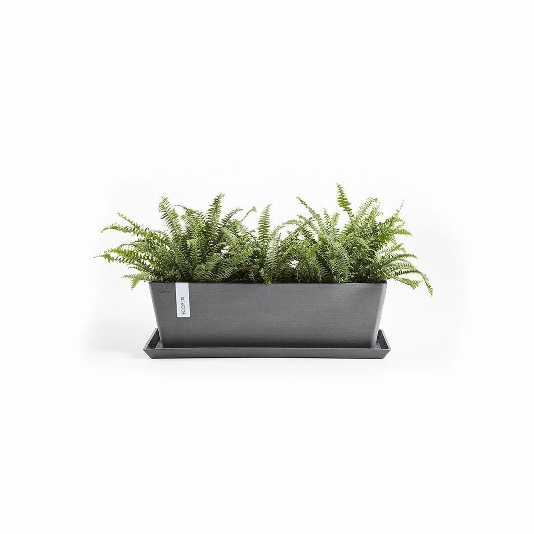 Ecopots Saucer Rectangular Grey plant seeds  