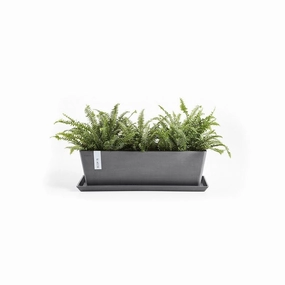 Ecopots Saucer Rectangular Grey plant seeds  