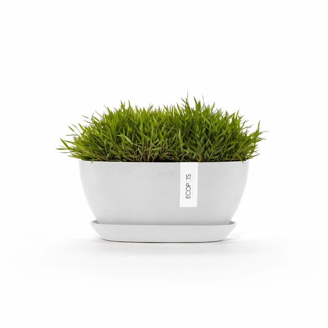 Ecopots Sofia Pure White Pot/Saucer