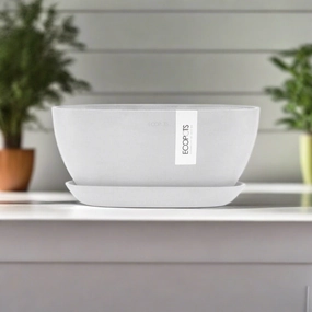 Ecopots Sofia Pure White Pot/Saucer plant seeds  