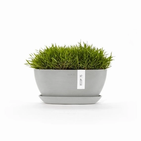 Ecopots Sofia White Grey Pot/Saucer plant seeds  