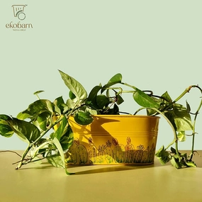 EkoPlanter - Cactus classic flowerpot  