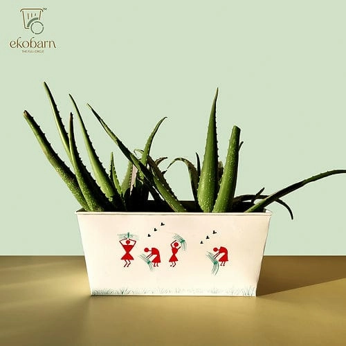 EkoPlanter - Warli Painting classic flowerpot  