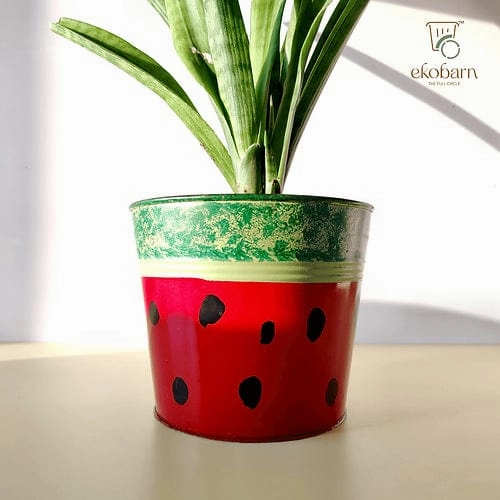 EkoPlanter - Watermelon