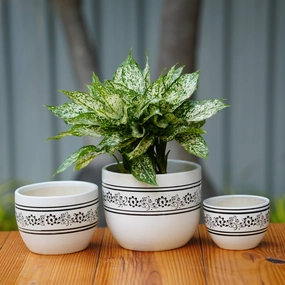 Elegant White Ceramic Planter with Vintage Floral Pattern cactus succulent plant  