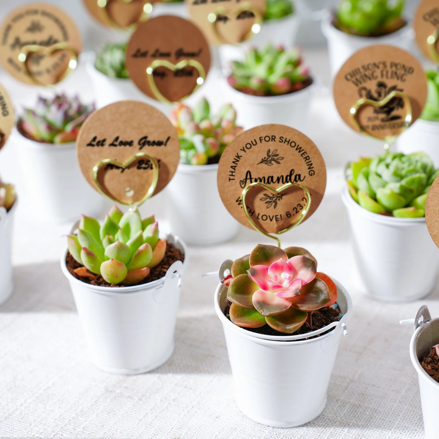 Elegant White Metal Buckets Succulent Favors (Tag Custom Supported) mini ornamental plant  